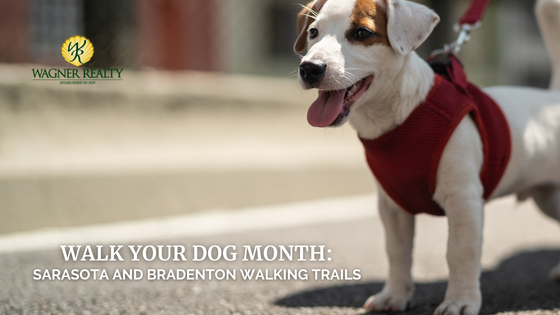 Dog Walking Sarasota
